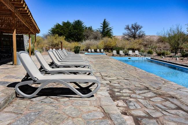 Шезлонг-лежак пластиковый Omega тортора 1700-1945х690х910 мм Шезлонг-лежак пластиковый Omega тортора 1700-1945х690х910 мм