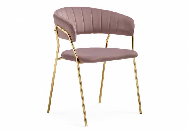 Kamelia 1 light purple /gold