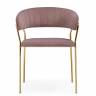 Kamelia 1 light purple /gold